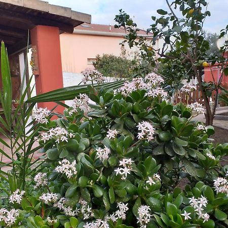 I Due Ciuchini Sardinia Lägenhet Sassari Exteriör bild