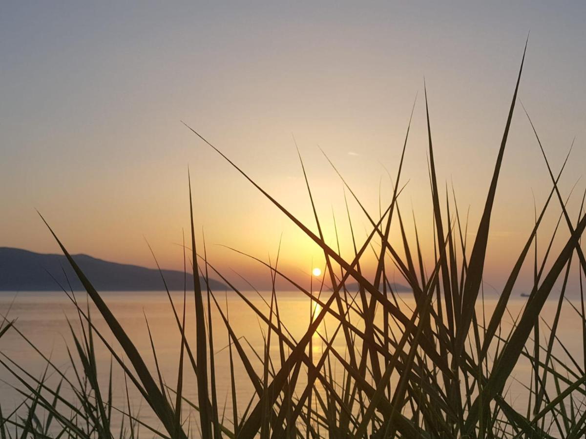 I Due Ciuchini Sardinia Lägenhet Sassari Exteriör bild