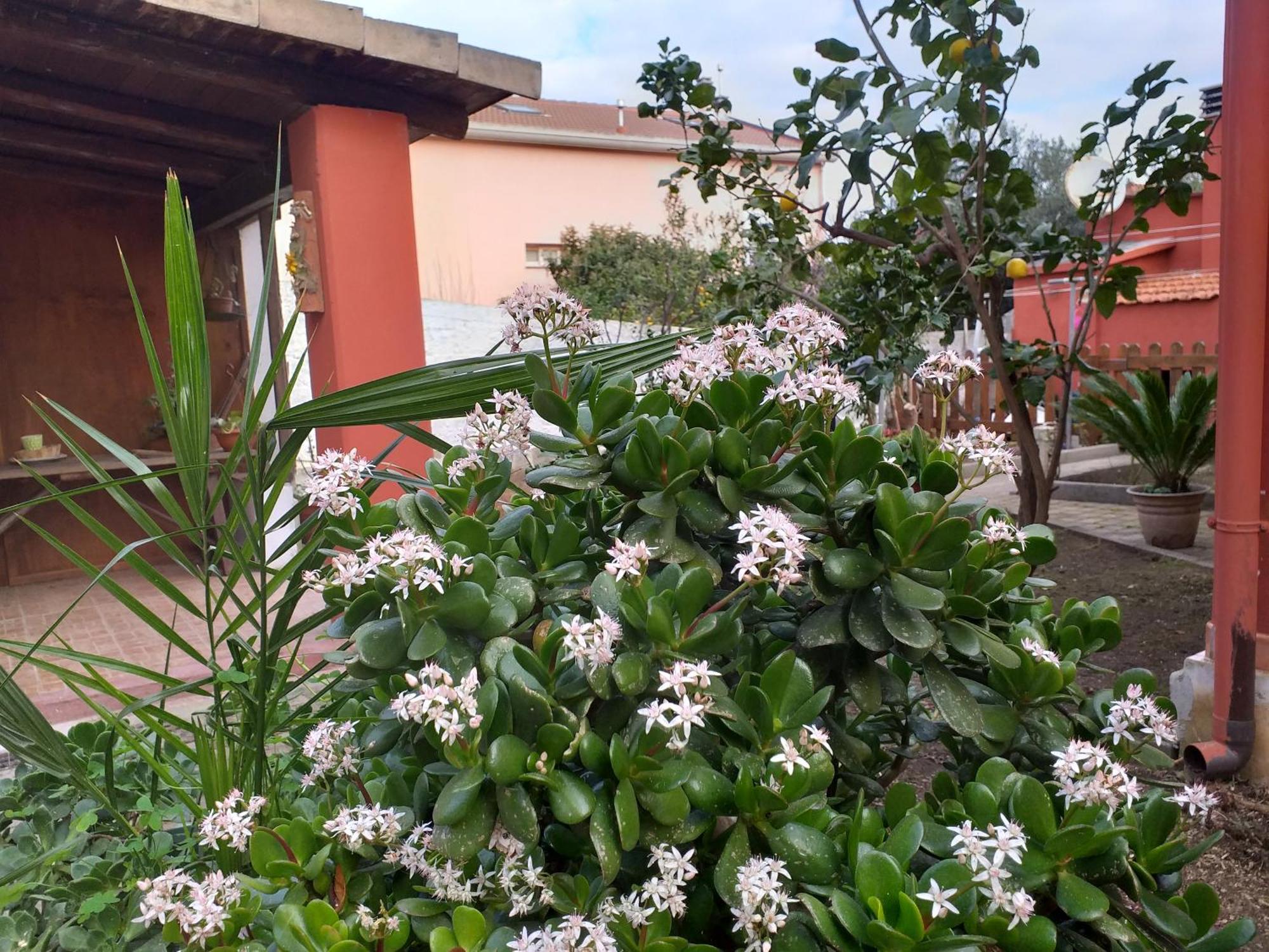 I Due Ciuchini Sardinia Lägenhet Sassari Exteriör bild